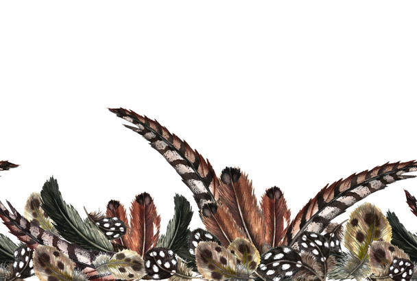 Seamless bottom border of of realistic domestic and wild birds feathers. Guinea fowl, quail, pheasant, partridge, duck. Watercolor hand painted isolated elements on white background. - Foto, Bild