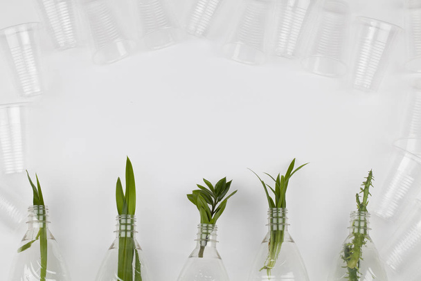 ветви растений внутри пустых пластиковых бутылок, пластиковые очки на белом фоне
. - Фото, изображение