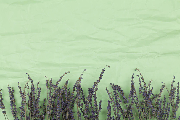 fleurs de lavande sèches sur fond vert grondé
. - Photo, image