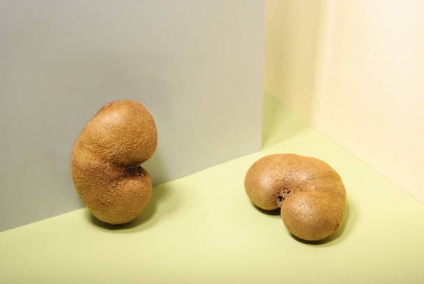 Kiwi fruits, similar to the kidneys. Kidney health concept. Promotional photo concept of kidney disease, and urinary tract health. Kidney-like Kiwi Fruits - Photo, Image