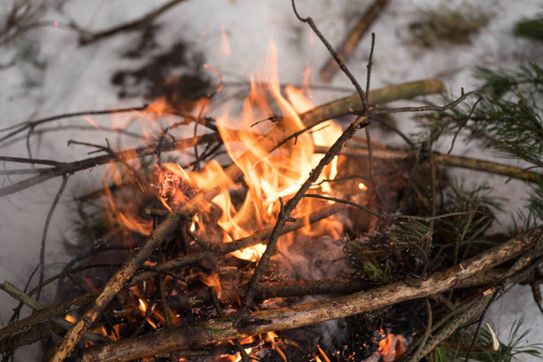 a bright bonfire from twigs burns - Foto, Imagem