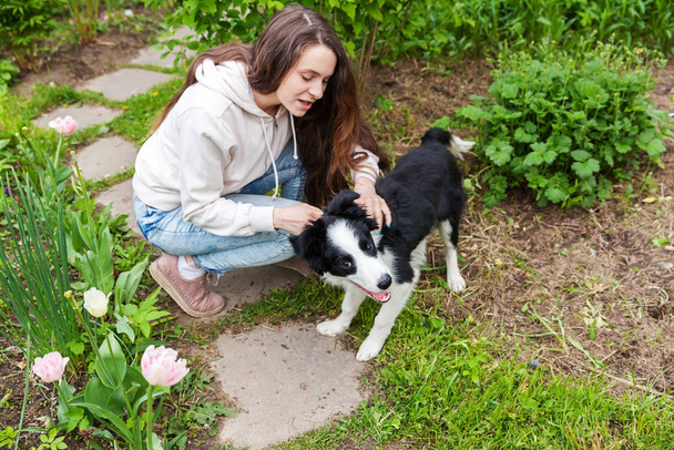 Усміхнена молода приваблива жінка обіймає милий щенячий собачий кордон коллі в літньому міському парку на відкритому фоні
 - Фото, зображення