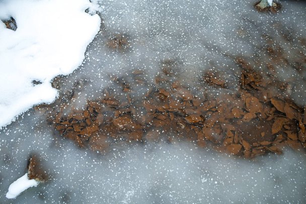 Fagyasztott víz ősz levelek téli jég hó - Fotó, kép