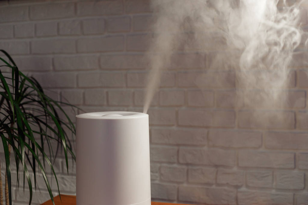 Humidificador extendiendo vapor en la sala de estar - Foto, Imagen
