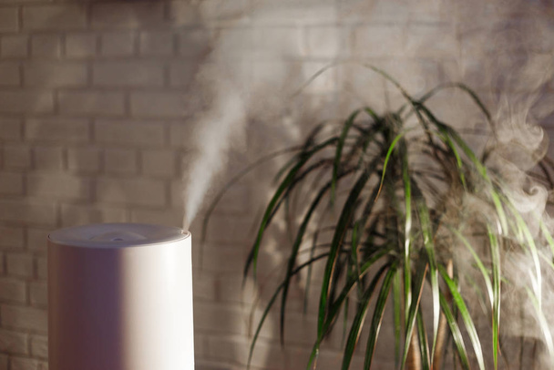 Luchtbevochtiger verspreidt stoom in de woonkamer - Foto, afbeelding