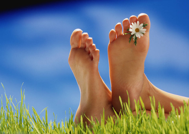 woman legs in green grass - Zdjęcie, obraz