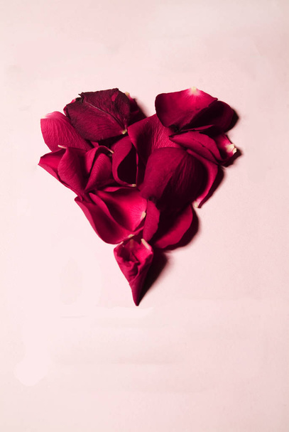 heart shaped rose petals - 写真・画像