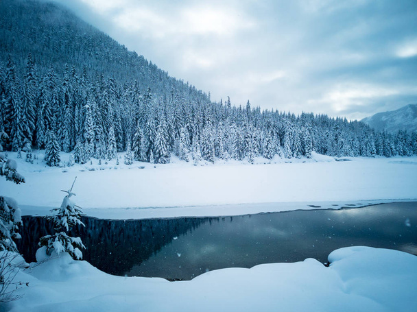 Étang gelé de Gold Creek recouvert de neige avec des arbres et des sentiers couverts pendant l'hiver dans la nature sauvage des lacs alpins dans le comté de Kittitas État de Washington
 - Photo, image