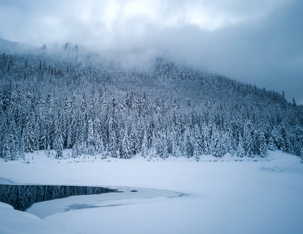 Hófödte fagyasztott gyönyörű Gold Creek tó havas fák és nyomvonal a tél folyamán az Alpok-tavak vadonban Kittitas megye Washington állam - Fotó, kép