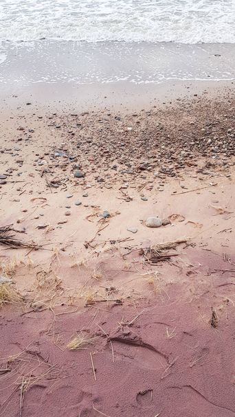 Žádný filtr na severním pobřeží Lotyšska. Růžový písek s minerály a fosiliemi. Fialový písek a stará tráva na pláži. Jedinečná pobřežní linie Baltského moře. Dvě pískové hroty. - Fotografie, Obrázek