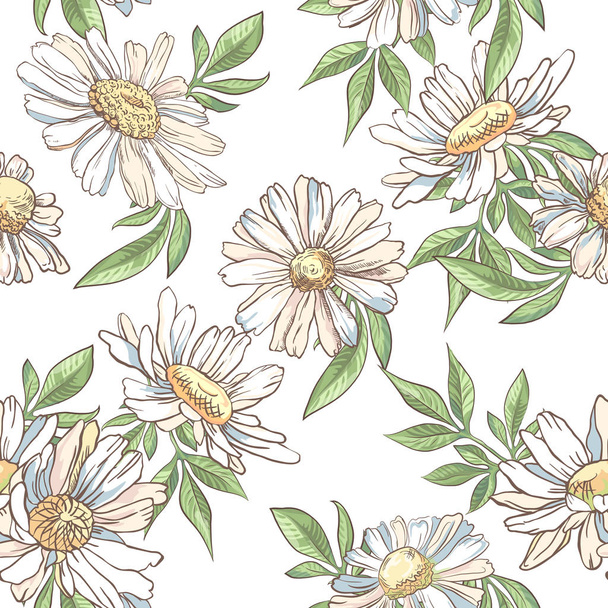 Seamless pattern with white camomile on white background - Διάνυσμα, εικόνα