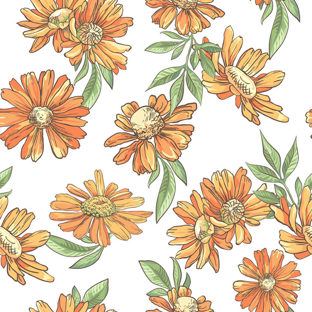 Seamless pattern with orange camomile on white background - Vektor, Bild