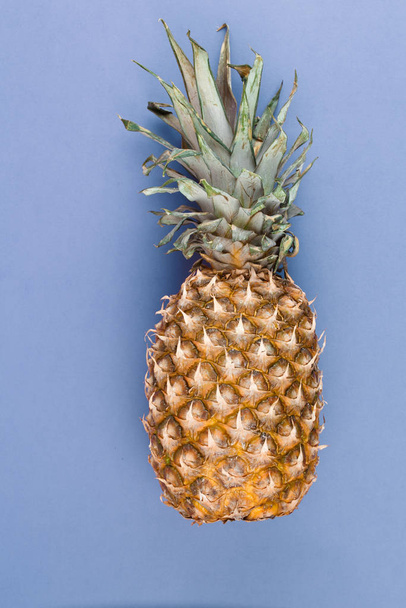 Pineapple with leaves ripe whole blue background. - Fotoğraf, Görsel