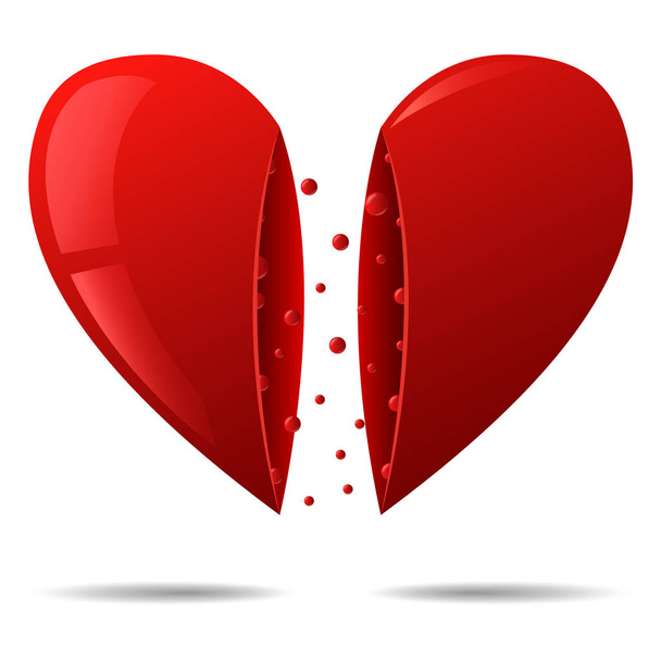 Valentýn. Roztomilé velké červené srdce, rozdělené na dvě svisle. - Vektor, obrázek