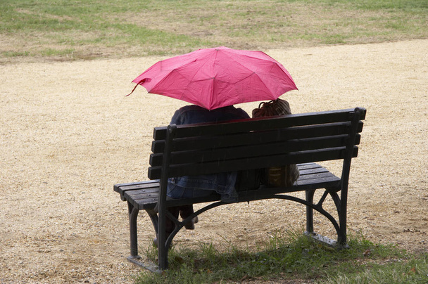 woman with umbrella in the park - Foto, Imagem