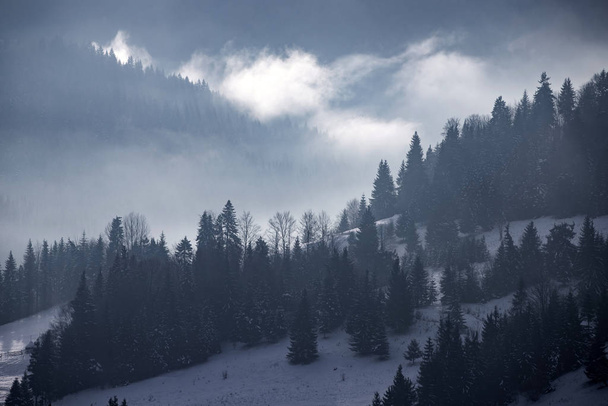 Winter forest in dramatic sunrise with fog in the Carpathians, R - Foto, Imagen