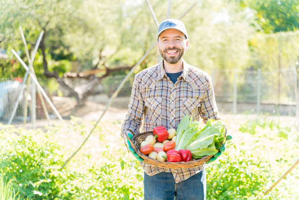 Smiling farmer with homegrown vegetables in basket standing at farm on sunny day - Photo, Image