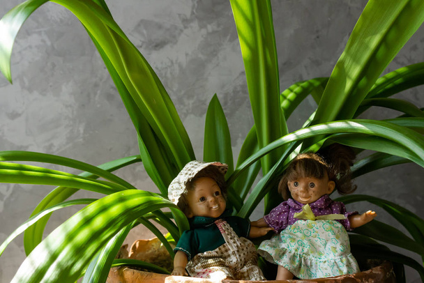 Старі, страшні, потворні ляльки перед бетонною стіною з зеленим листям
. - Фото, зображення