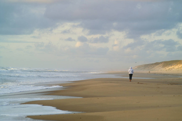 scenic view of dunes, selective focus - Foto, Bild
