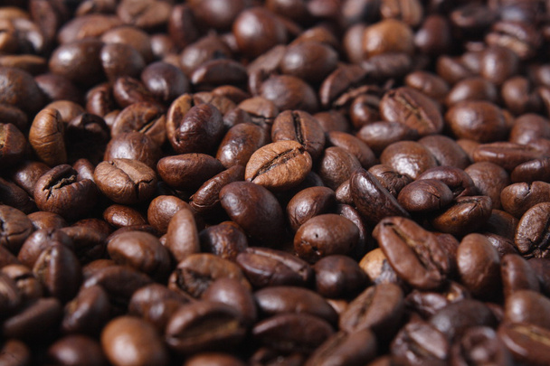 боби робусти кави
 - Фото, зображення