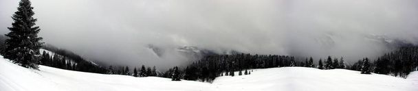 panorama feldberg in the snow - Photo, image