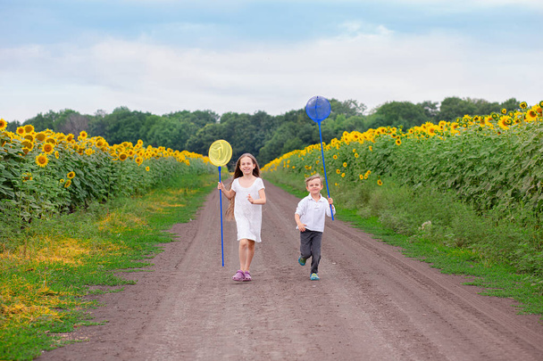 Outdoor portret van jonge kinderen met een vlindernet langs de weg. - Foto, afbeelding