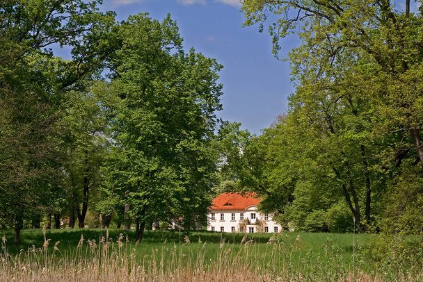 castle in the park - Fotografie, Obrázek