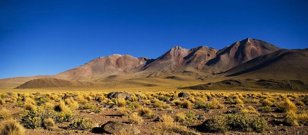 volcanic landscape in bolivia - Valokuva, kuva