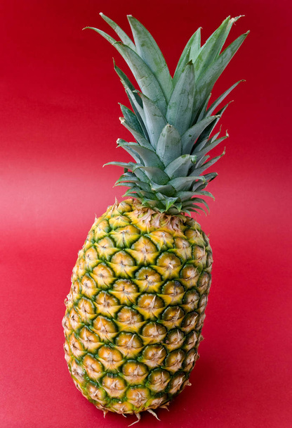 pineapple, tropical summer fruit - Φωτογραφία, εικόνα