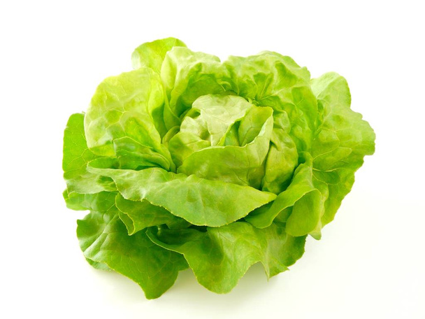 fresh green lettuce salad leaves - Foto, immagini