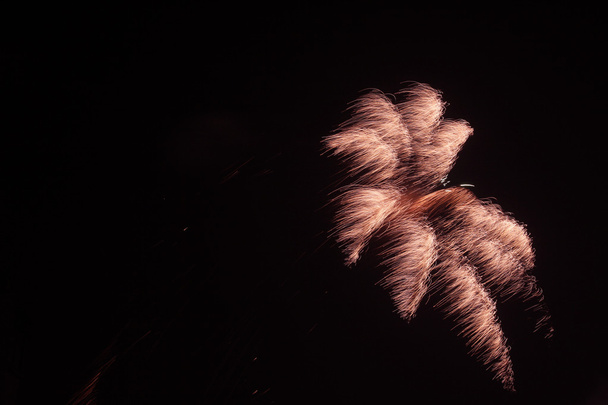 Feuerwerk am Nachthimmel - Foto, Bild