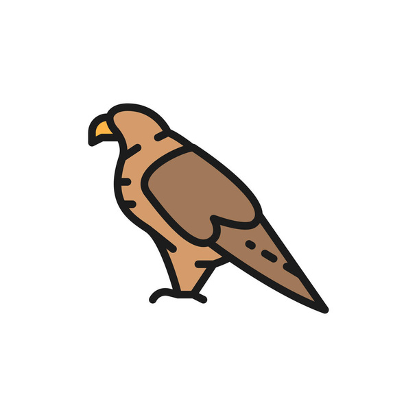Орел, сокіл, національна піктограма плоскої кольорової лінії птахів
. - Вектор, зображення