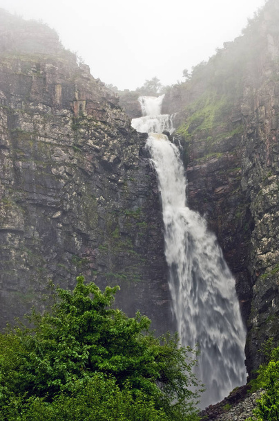 nature flora, waterfall water flow  - Foto, imagen
