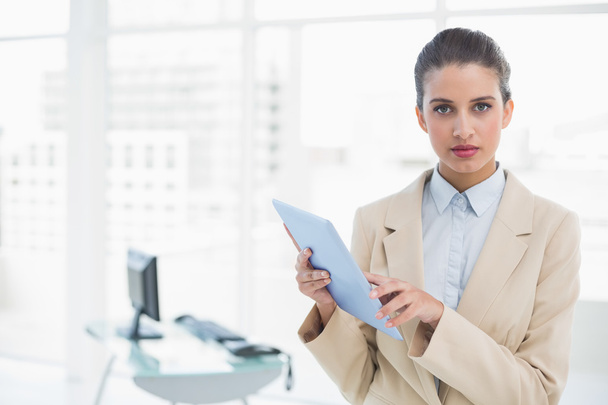 Serious businesswoman holding a tablet pc - Photo, image