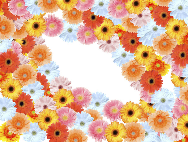 gerbera summer flower, floral petals - Valokuva, kuva