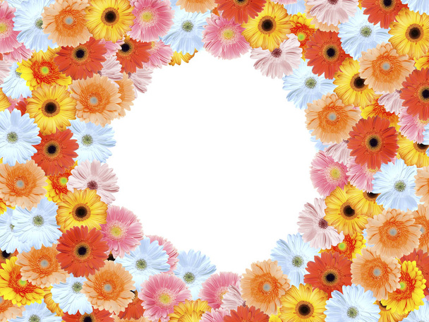 gerbera summer flower, floral petals - Zdjęcie, obraz