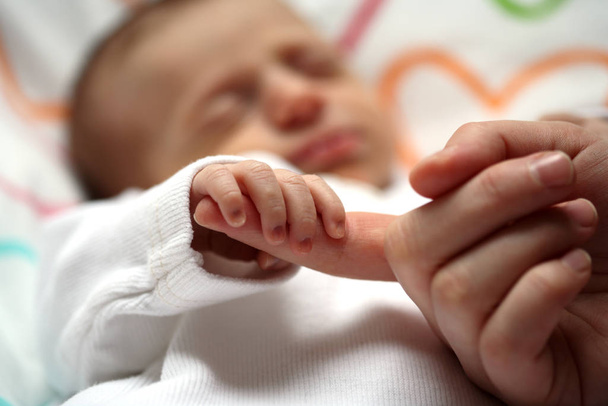 little newborn baby child - Zdjęcie, obraz
