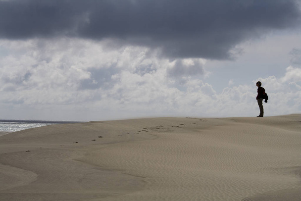 standing on a dune - Photo, image