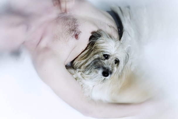 young man and labrit dog - Valokuva, kuva
