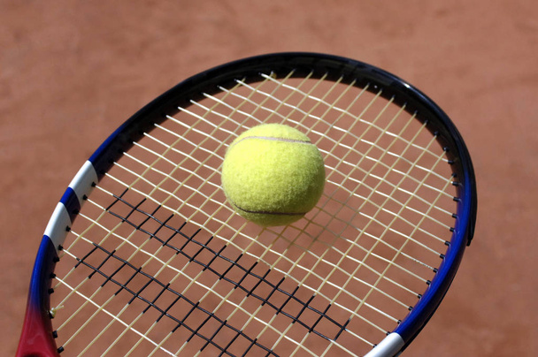 Tennis ball on a racket - Valokuva, kuva