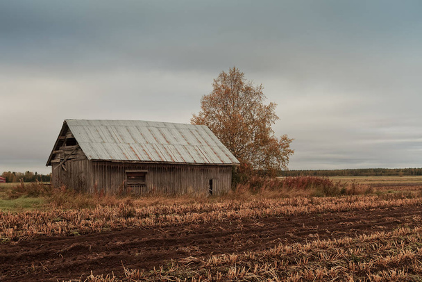 Granero por los campos de otoño
 - Foto, Imagen