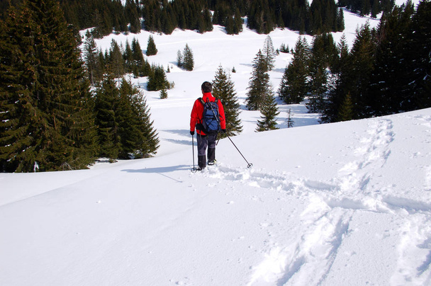 winter hiking in the mountains - Fotó, kép