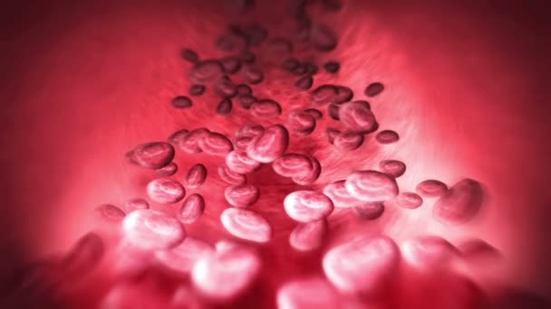 Lidský oběhový systém. 3D smyčka animace lidských krevních cév s červenými krvinkami. Symbol zdravotní péče. - Záběry, video