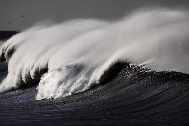 Nagy fehér hullám - Fotó, kép