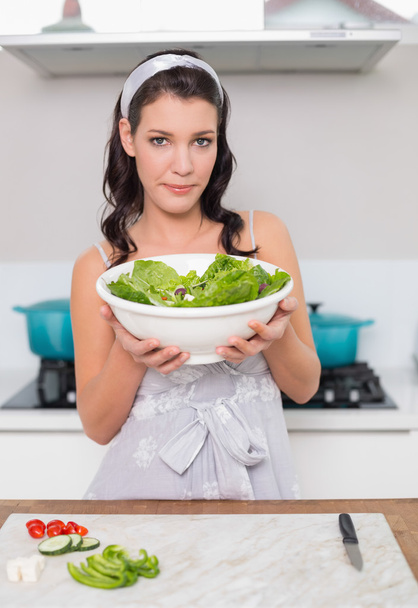 Calm pretty brunette holding healthy salad - Φωτογραφία, εικόνα