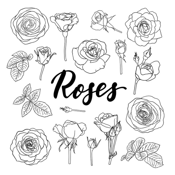 set of black and white outline roses, buds and leaves. Floral contour isolated on white background. design greeting card and invitation of the wedding, birthday, Valentine s Day, mother s day, holiday - Vector, Image