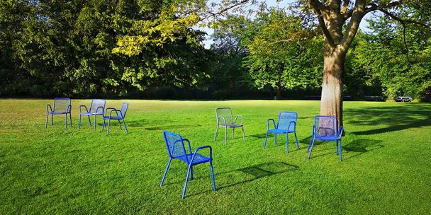 Seven empty metal outdoor chairs.Unoccupied loungers in park under sprawling tree on bright green mown lawn with shrubs behind on sunny spring,summer or autumn day.Concept of invitation to vacation - Photo, Image