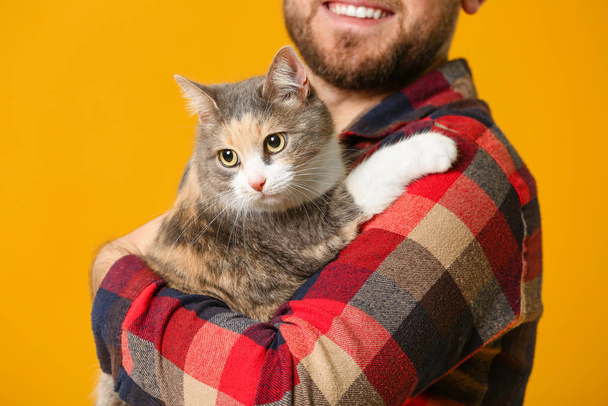 Homem com gato bonito no fundo de cor
 - Foto, Imagem