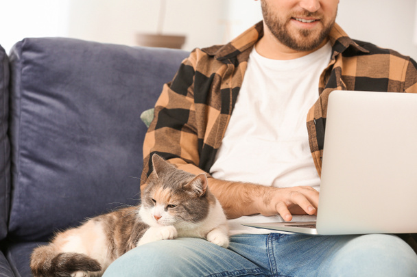 Man met schattige kat met laptop thuis - Foto, afbeelding