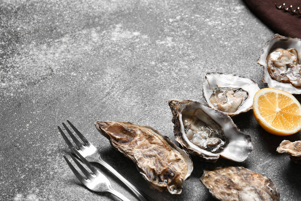 Composition with oysters on grey background - 写真・画像
